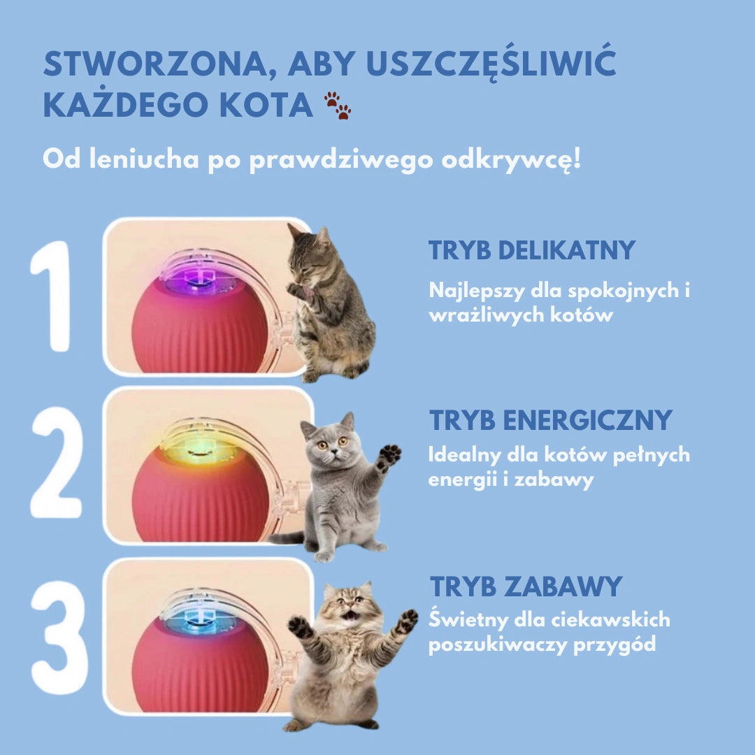 Miskot – Gdzie Zaczyna Się Przygoda