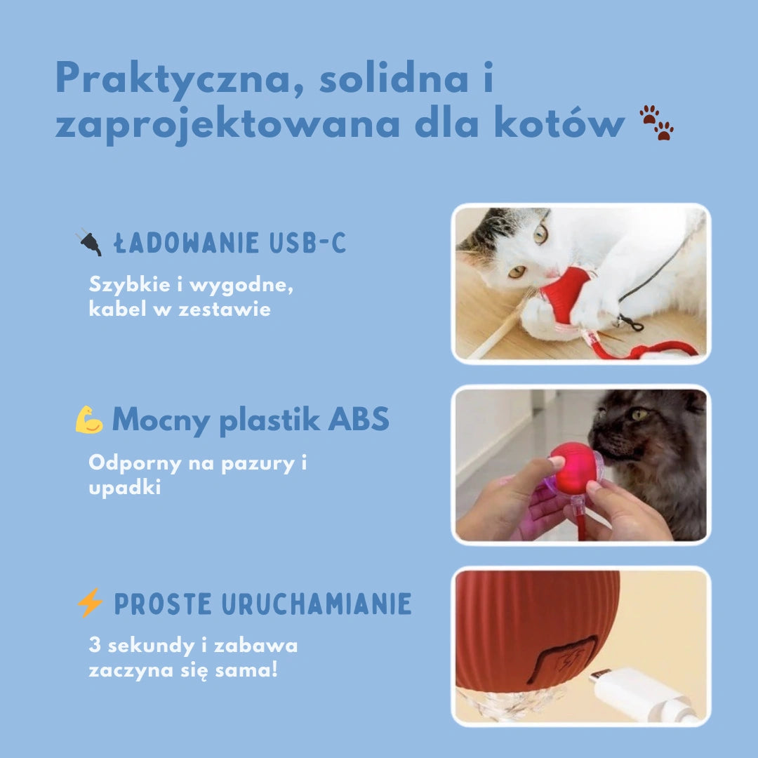 Miskot – Gdzie Zaczyna Się Przygoda