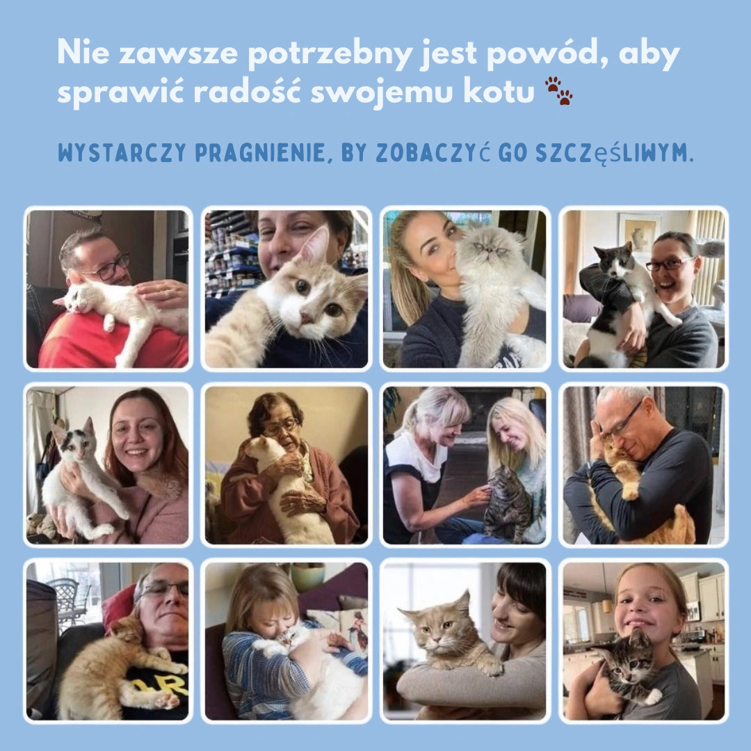 Miskot – Gdzie Zaczyna Się Przygoda