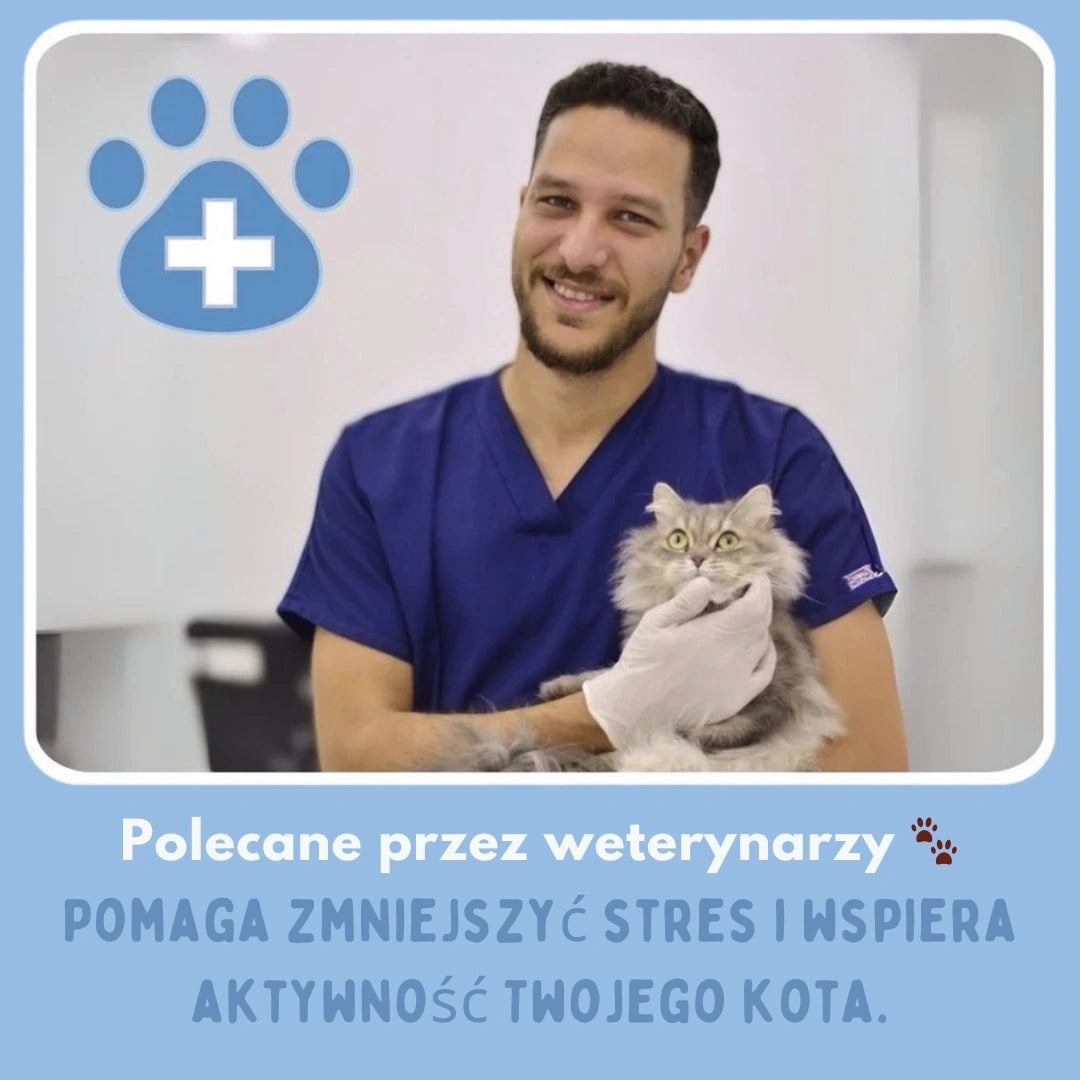 Miskot – Gdzie Zaczyna Się Przygoda