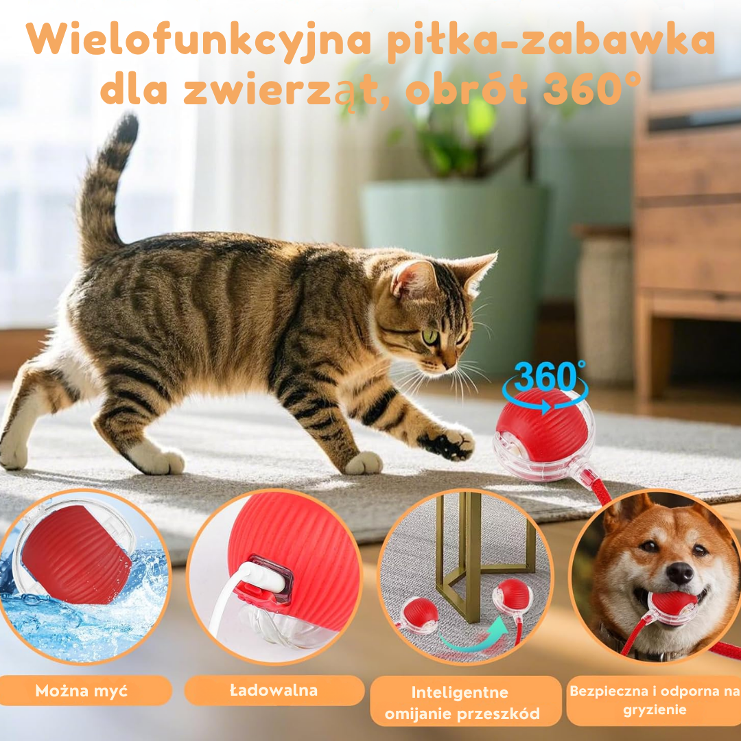 Miskot – Gdzie Zaczyna Się Przygoda