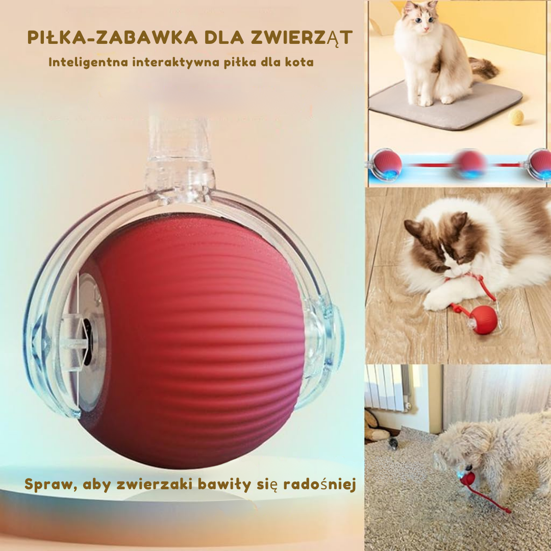 Miskot – Gdzie Zaczyna Się Przygoda