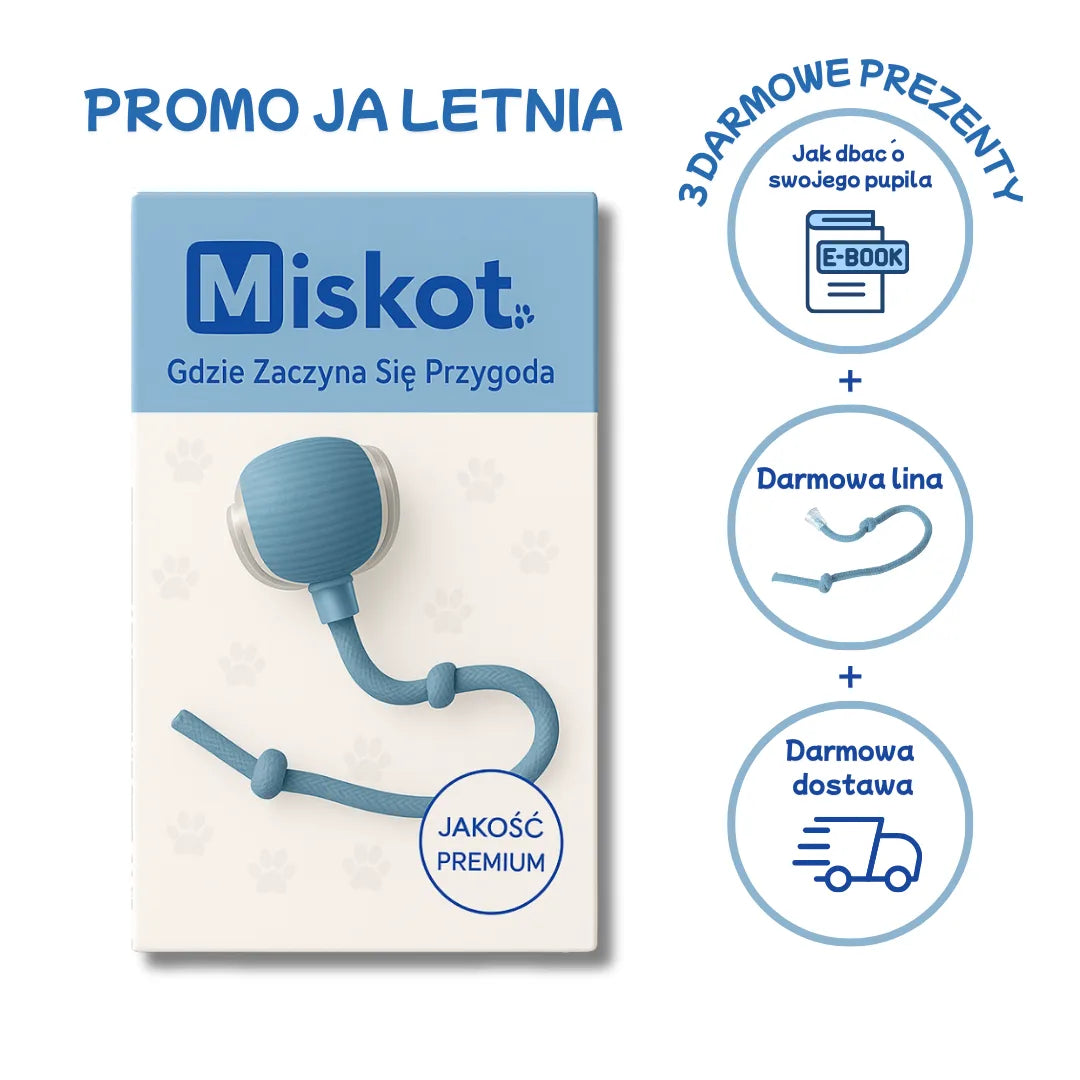 Miskot – Gdzie Zaczyna Się Przygoda