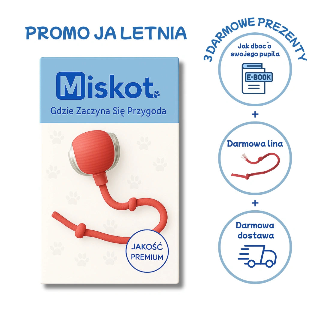 Miskot – Gdzie Zaczyna Się Przygoda