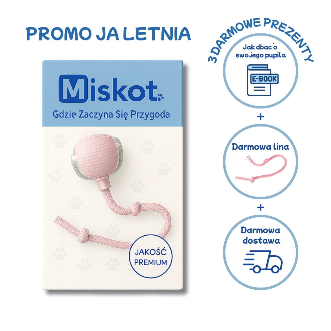 Miskot – Gdzie Zaczyna Się Przygoda